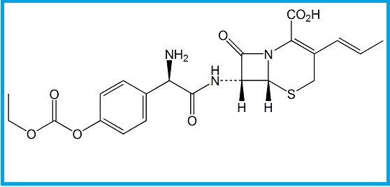 CEFPROZIL EP IMPURITY N